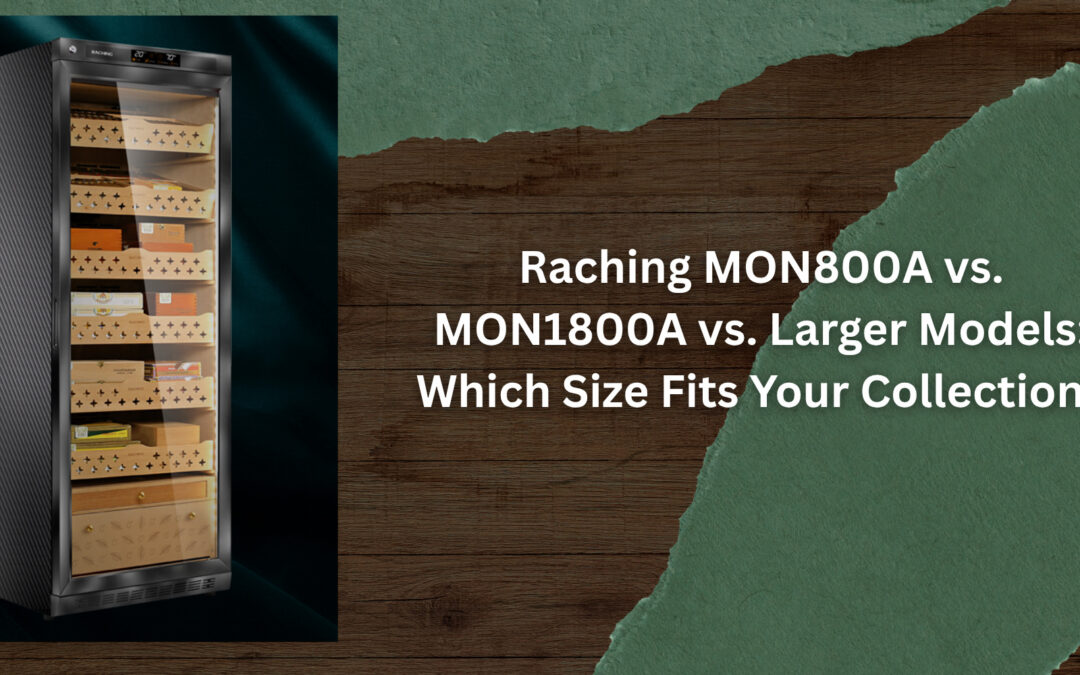 Raching MON800A vs. MON1800A vs. Larger Models: Which Size Fits Your Collection?