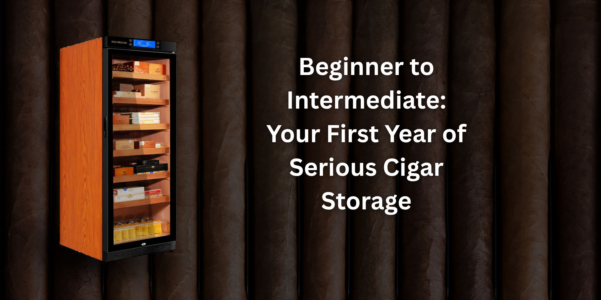 Beginner to Intermediate: Your First Year of Serious Cigar Storage